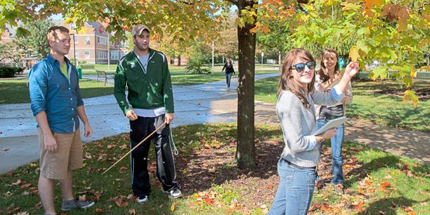 фенологические исследования
