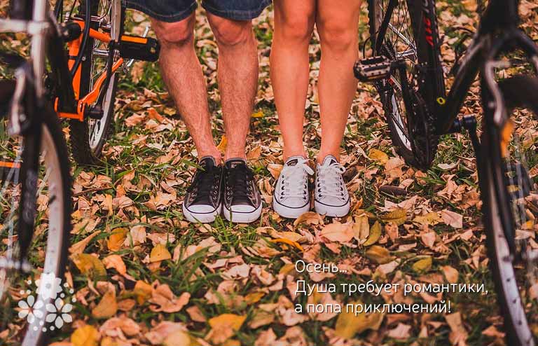 смешные афоризмы и цитаты про осень