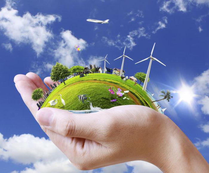 решение экологических проблем красноярского края