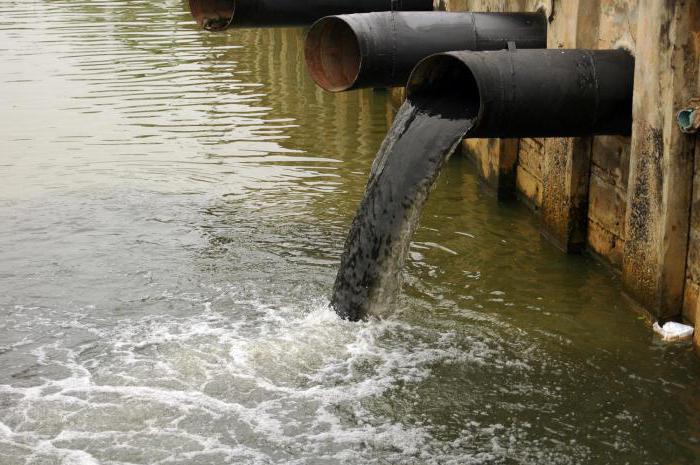 какие экологические проблемы красноярского края