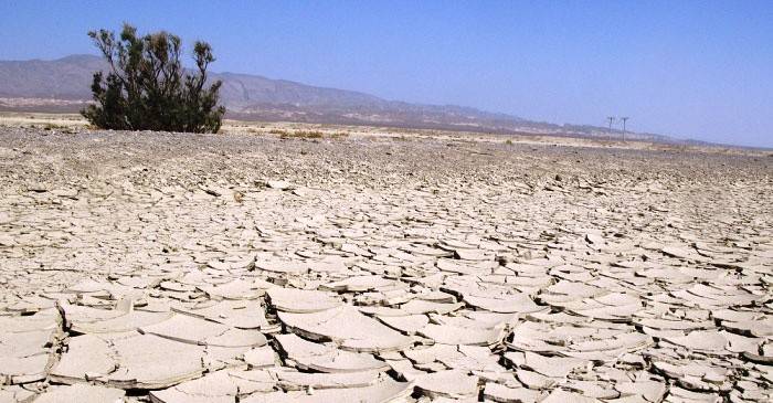 Истощение почвы