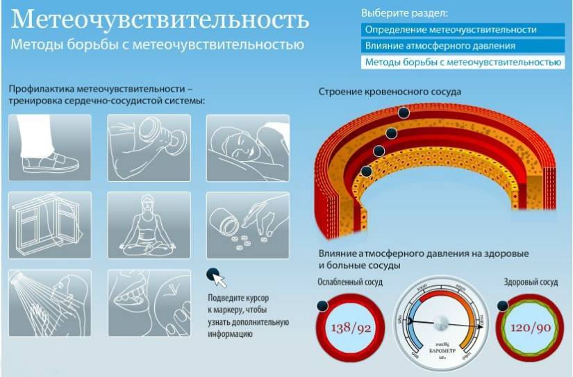 Как погода влияет на жизнь человека