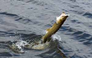 Атмосферное давление и осадки