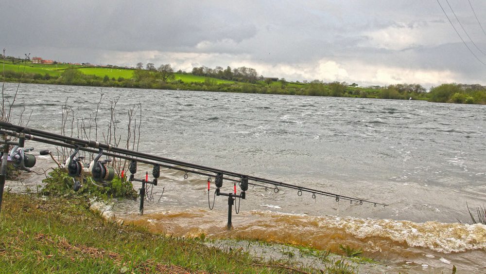 Как Влияет Погода на Карпа?