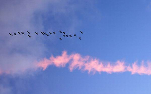 Какая будет зима? Народные приметы о погоде зимой