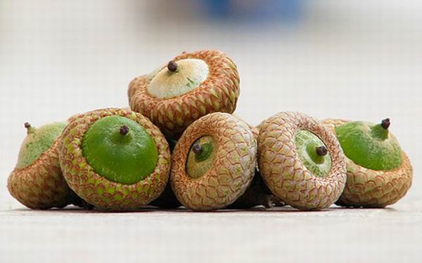 Какая будет зима? Народные приметы о погоде зимой