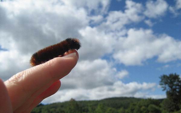 Какая будет зима? Народные приметы о погоде зимой