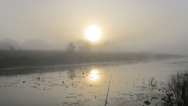 Туманное утро. Восход
