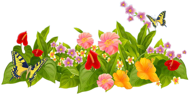 Погода летом, приметы по растениям и погоде, прогноз по животным и птицам 2021