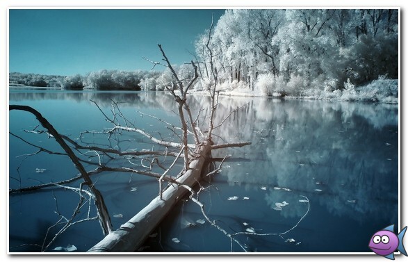 ловля карася в январе