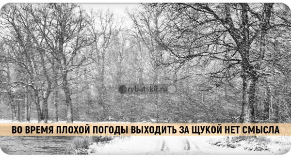 В какую погоду лучше клюёт щука зимой и при каком давлении
