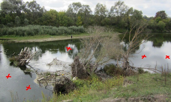 Как облавливать яму