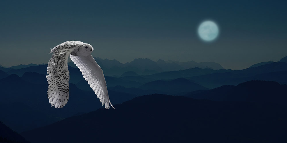 Полнолуние