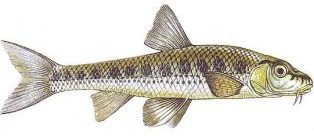 Календарь рыбалки, рыбака и клева 2019