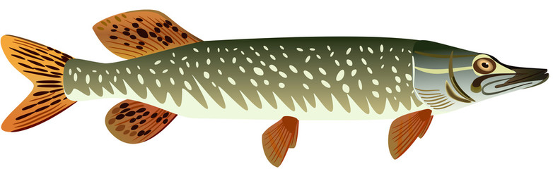 Календарь рыбалки, рыбака и клева 2019