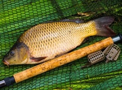 Снасти для ловли карпа: рассматриваем самые практичные