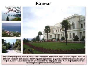 Климат южного берега Крыма
