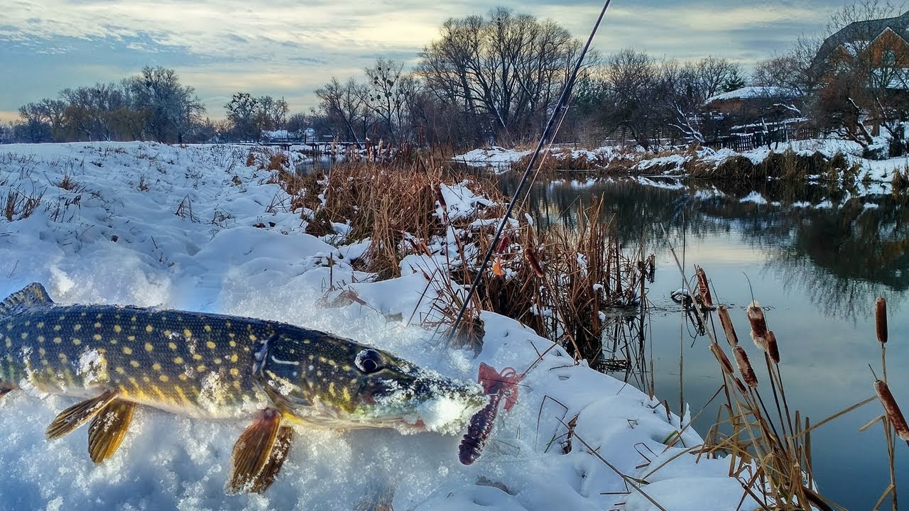 Щука на снегу