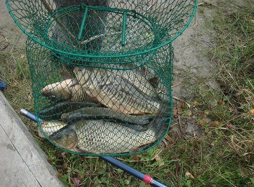 Карповая рыбалка