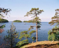 берег Ладожского озера