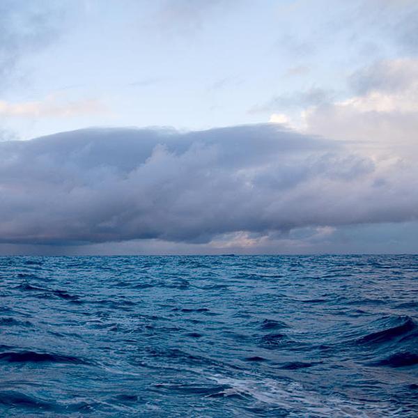 Лещ весной: особенности поведения и его влияние на ловлю