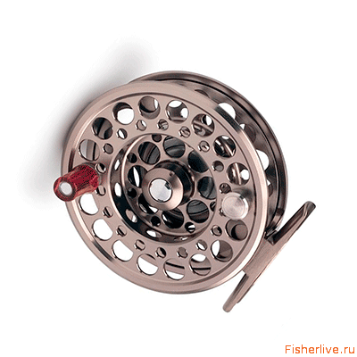 Лещ весной: особенности поведения и его влияние на ловлю