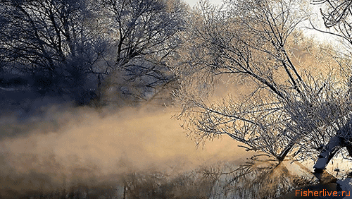 Лещ весной: особенности поведения и его влияние на ловлю