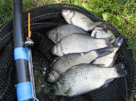 Летняя рыбалка