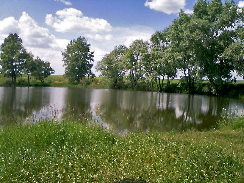 Тихая погода, без резких изменений оказывает лучшее влияние на клев рыбы, фото