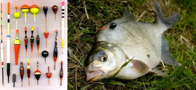 Ловля на поплавковую удочку