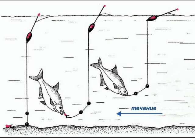 распределение дробинок на леске