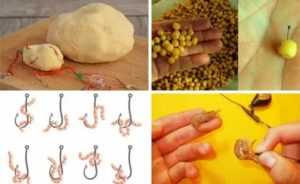 Ловля сазана: рыбалка на реке и пруду, как поймать и на что ловится, где и когда лучше