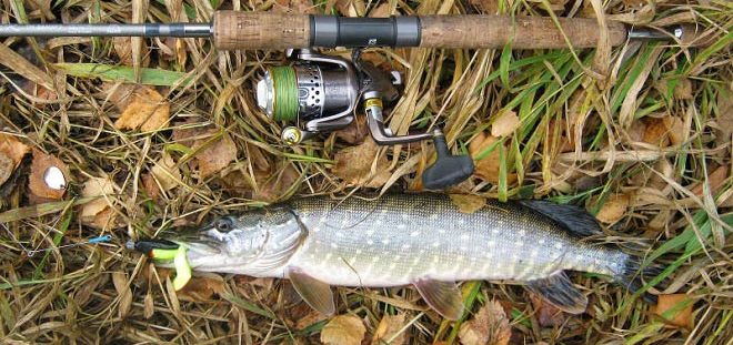 Щука и спиннинг