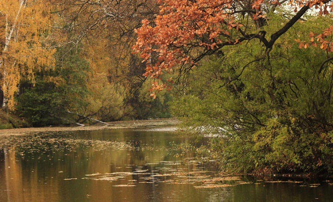 Осень в октябре