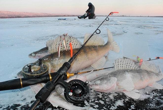 Судаки и удочки