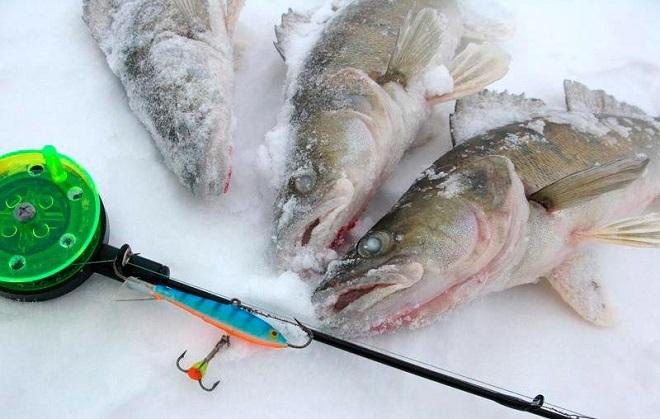 Три хищника