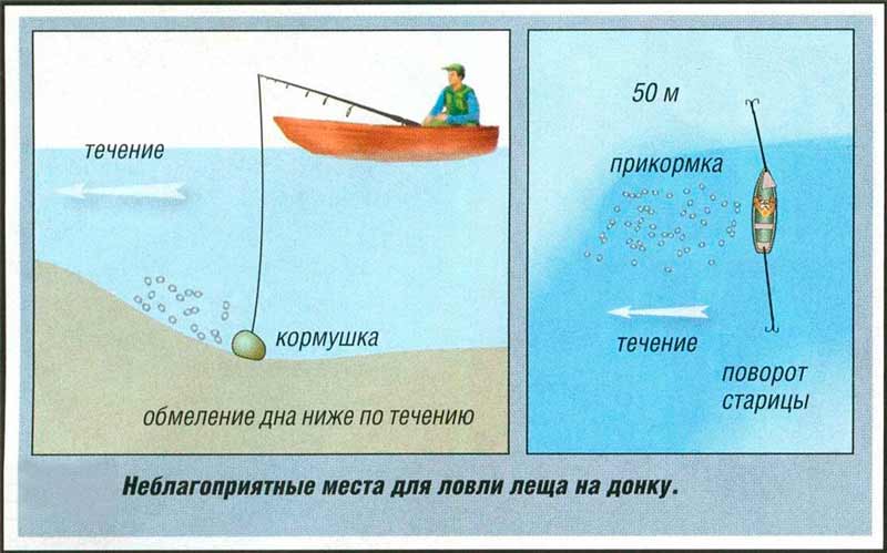 Ловля леща осенью на фидер в сентябре, октябре и ноябре - приманки, прикормка, техника ловли