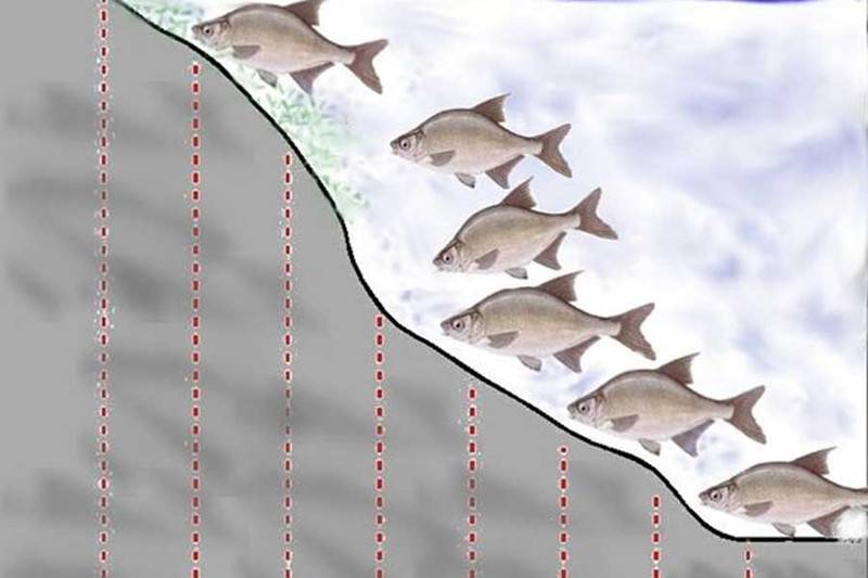 Ловля леща в октябре на фидер на реке: как и на что ловить
