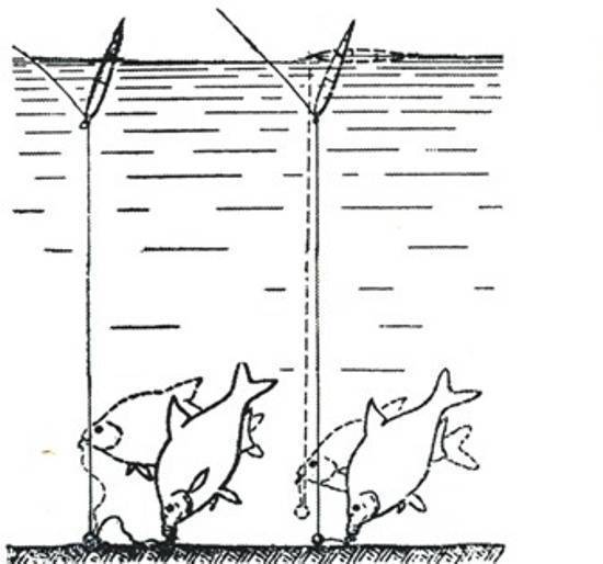 Лещ осенью на фидер: рыбалка поздней осенью на реке и озере