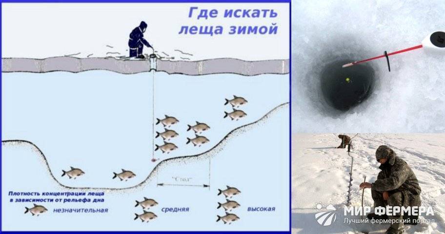 Щука в октябре - особенности лова, где и на что ловят