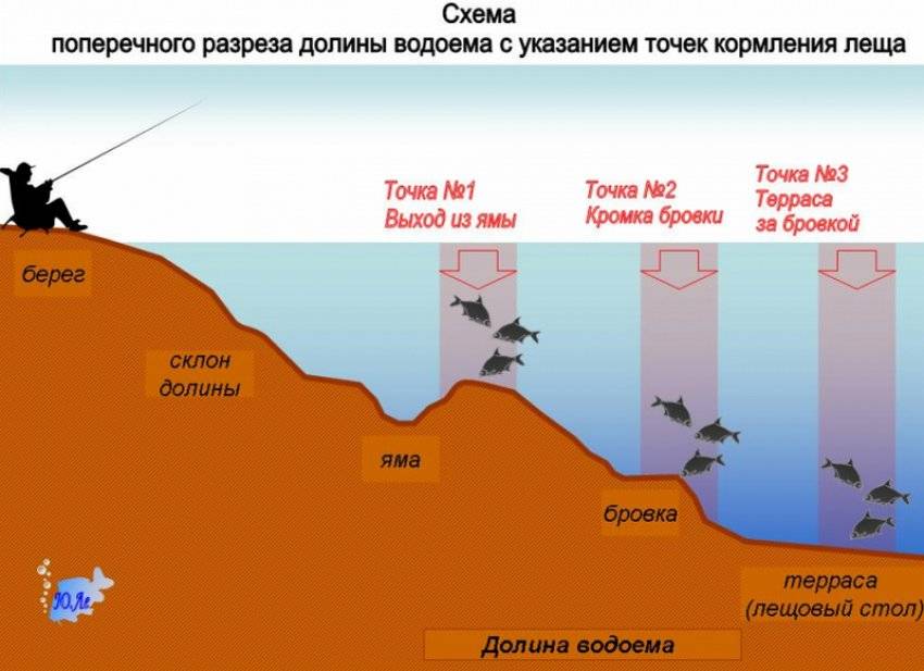 Ловля леща в октябре на фидер на реке: как и на что ловить