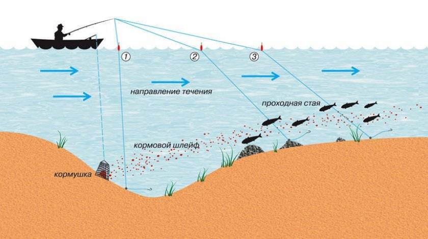Оптимальная погода для ловли леща в октябре месяце
