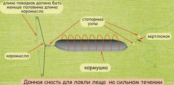 Ловля на фидер осенью