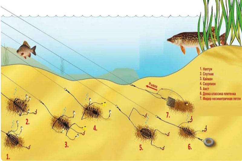 Ловля леща осенью – тонкости и хитрости