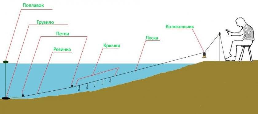 Тактика рыбалки на леща осенью на фидер