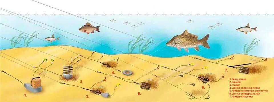 Погода для ловли леща. 3 фактора | активный клев леща