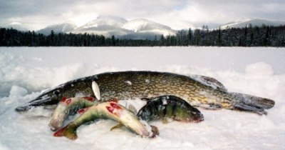 Лучшая погода для рыбалки, факторы влияющие на клёв