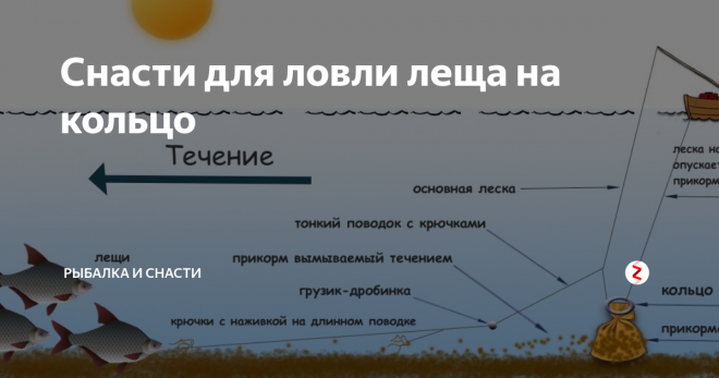 Осенняя ловля леща