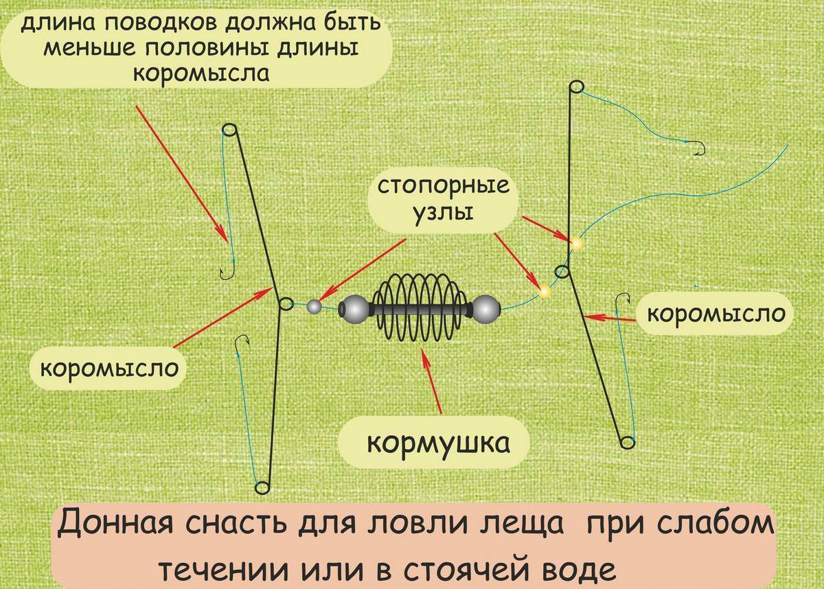 Ловля рыбы спиннингом в октябре