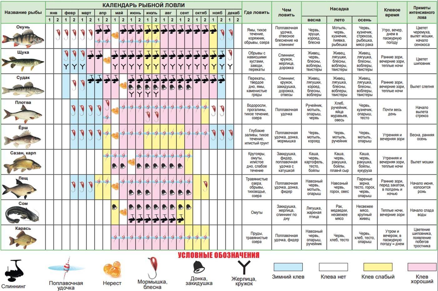 Ловля леща осенью: способы и советы по ужению в сентябре, октябре